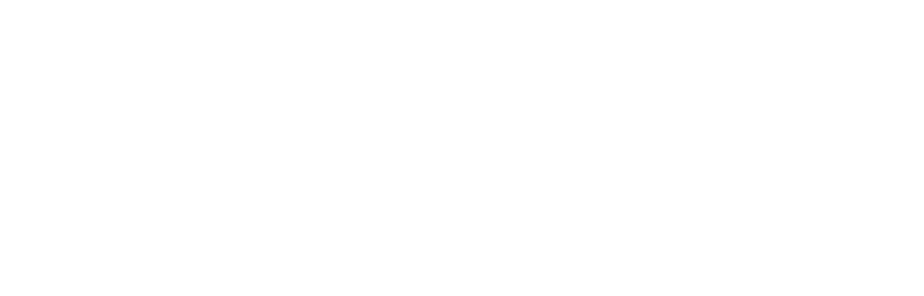 UA Diaspora