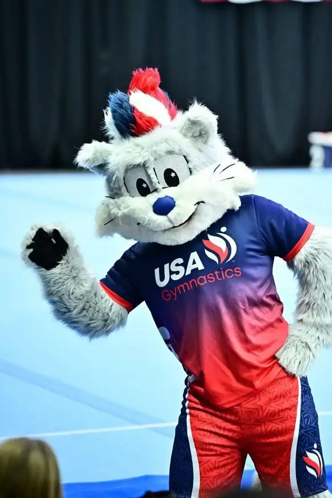 гимнастки Rodina Elite Gymnastics