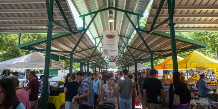 Davis Farmers Market, Фермерский рынок в Сакраменто