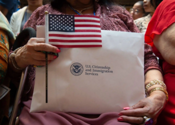 Кто и как получает гражданство США, Naturalization Flow Report