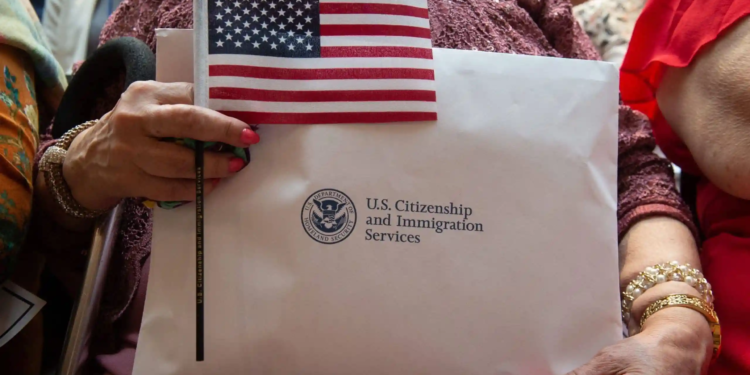 Кто и как получает гражданство США, Naturalization Flow Report