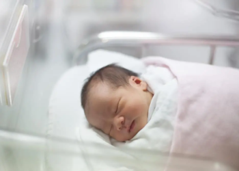 Фото: Shutterstock