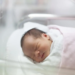 Фото: Shutterstock