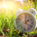 Фото: Shutterstock