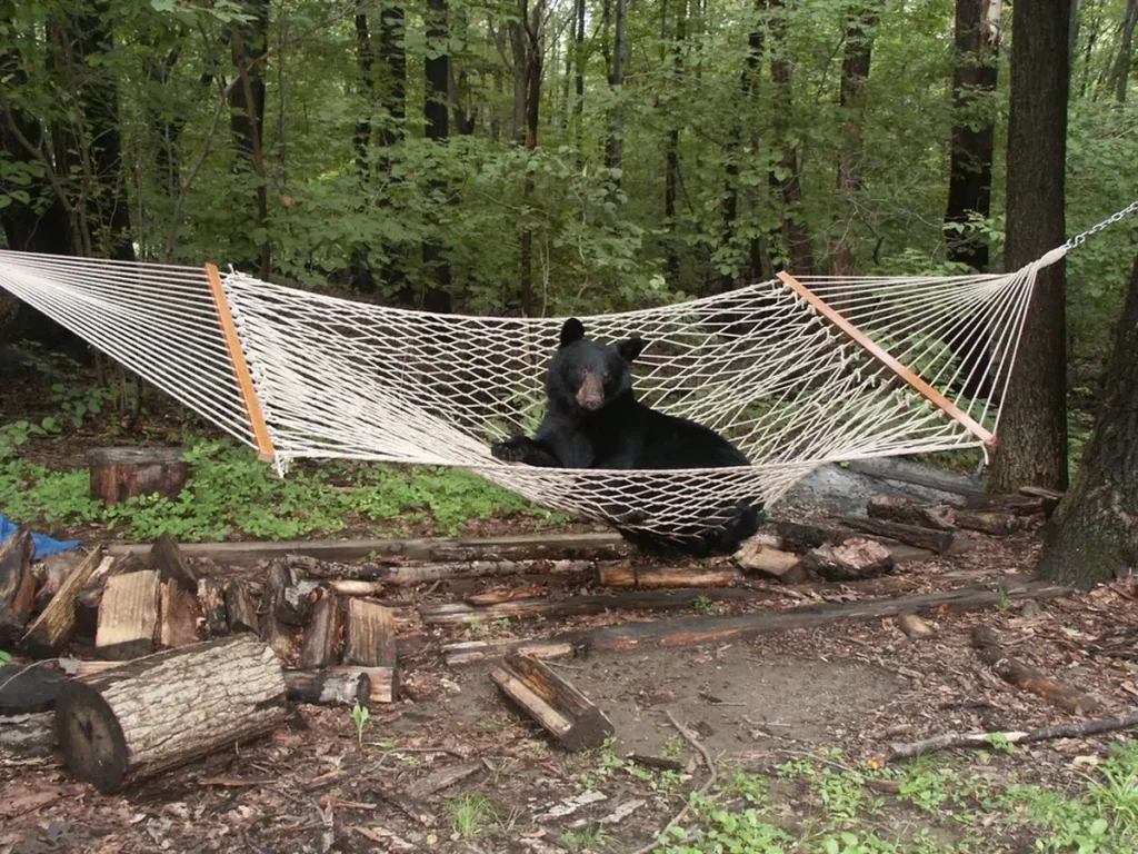 Новости Сакраменто