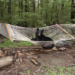 черный медведь под домом в Алтадине Калифорния