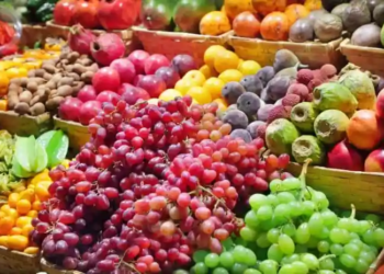 Фото: Shutterstock