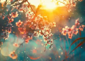 Фото: Shutterstock
