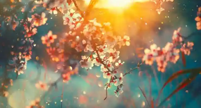 Фото: Shutterstock