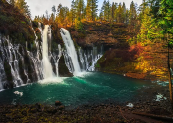 McArthur-Burney Falls Memorial State Park. Фото: Shutterstock