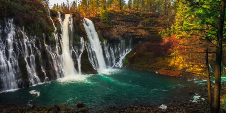 McArthur-Burney Falls Memorial State Park. Фото: Shutterstock