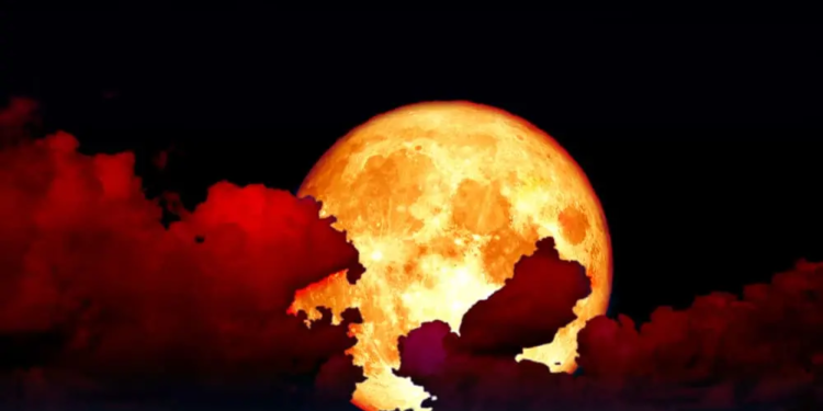 Фото: Shutterstock
