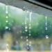 Фото: Shutterstock