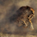 Фото: Shutterstock