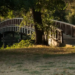 Клиарлейк. Фото: Shutterstock