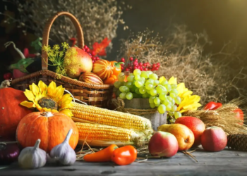 Фото: Shutterstock