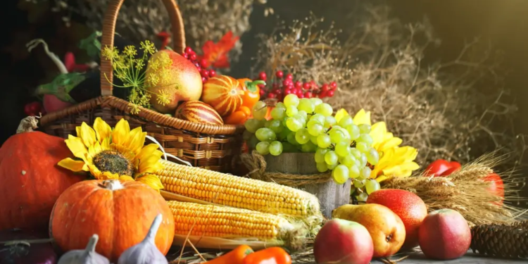 Фото: Shutterstock