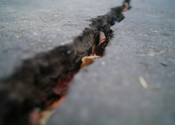 Фото: Shutterstock
