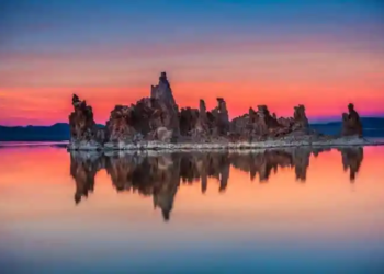 Фото: Shutterstock