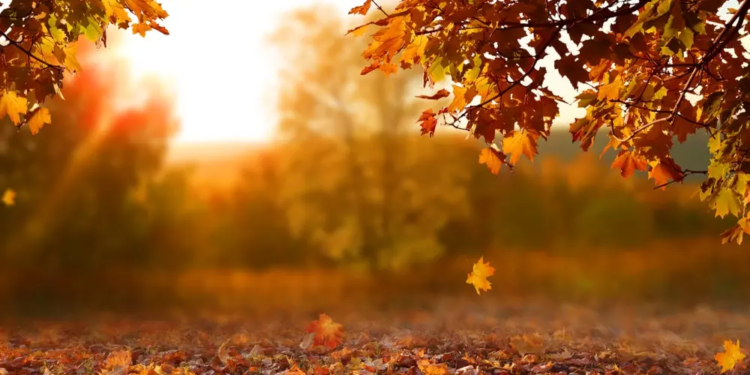 Фото: Shutterstock