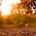 Фото: Shutterstock