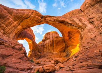 Фото: Shutterstock