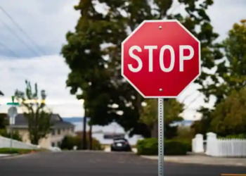 Фото: Shutterstock