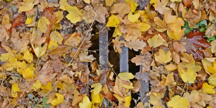 Погода в Сакраменто
