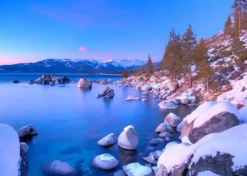 Фото: Shutterstock