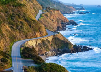 Фото: Shutterstock