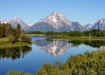 Фото: Shutterstock