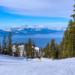 Фото: Shutterstock
