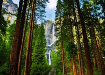 Фото: Shutterstock