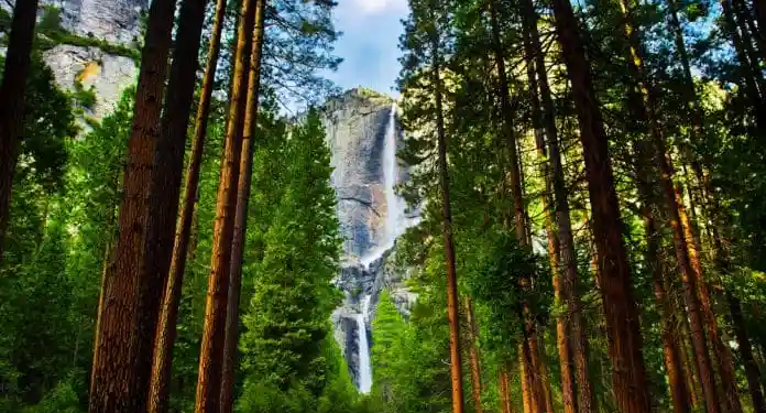Фото: Shutterstock