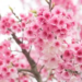 Фото: Shutterstock