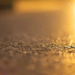 Фото: Shutterstock