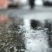 Фото: Shutterstock