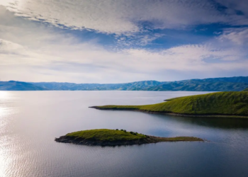 Фото: Shutterstock