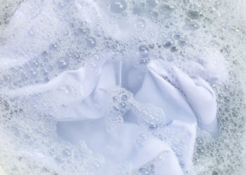 Фото: Shutterstock