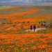 Фото: Shutterstock