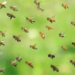 Фото: Shutterstock