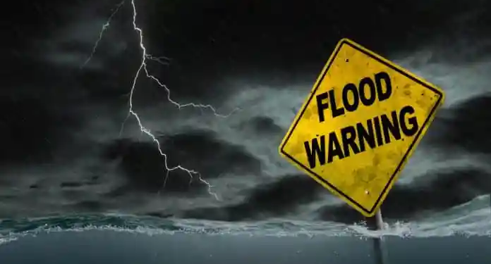 Фото: Shutterstock