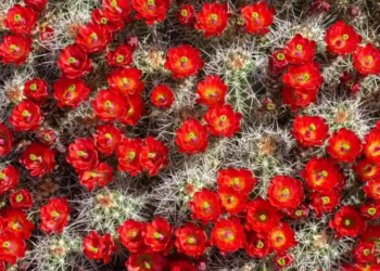 Фото: Shutterstock