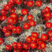 Фото: Shutterstock