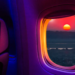 Фото: Shutterstock