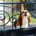 Фото: Shutterstock