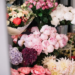 Фото: Shutterstock