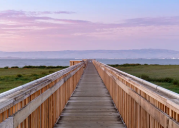 Фото: Shutterstock