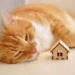 Фото: Shutterstock