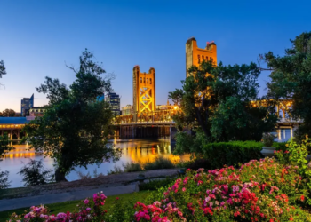Фото: Shutterstock